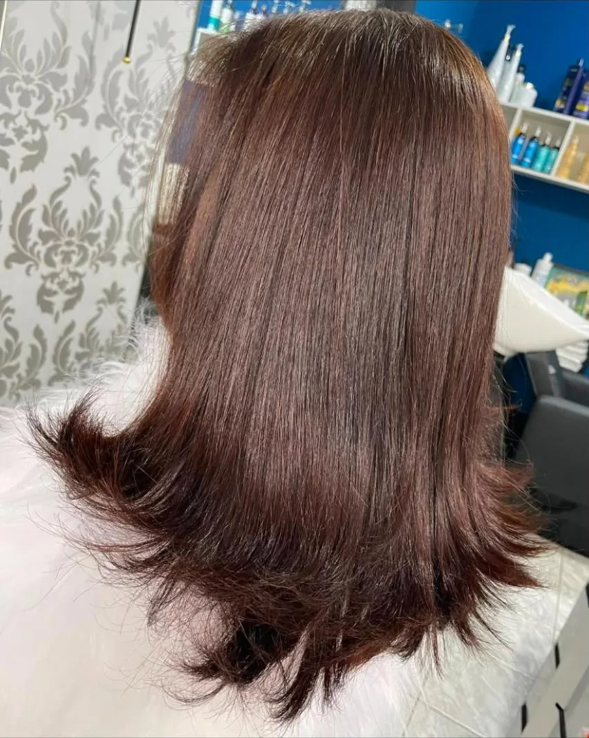 Cabelo castanho-avermelhado na altura dos ombros, liso com pontas desfiadas, visto de costas